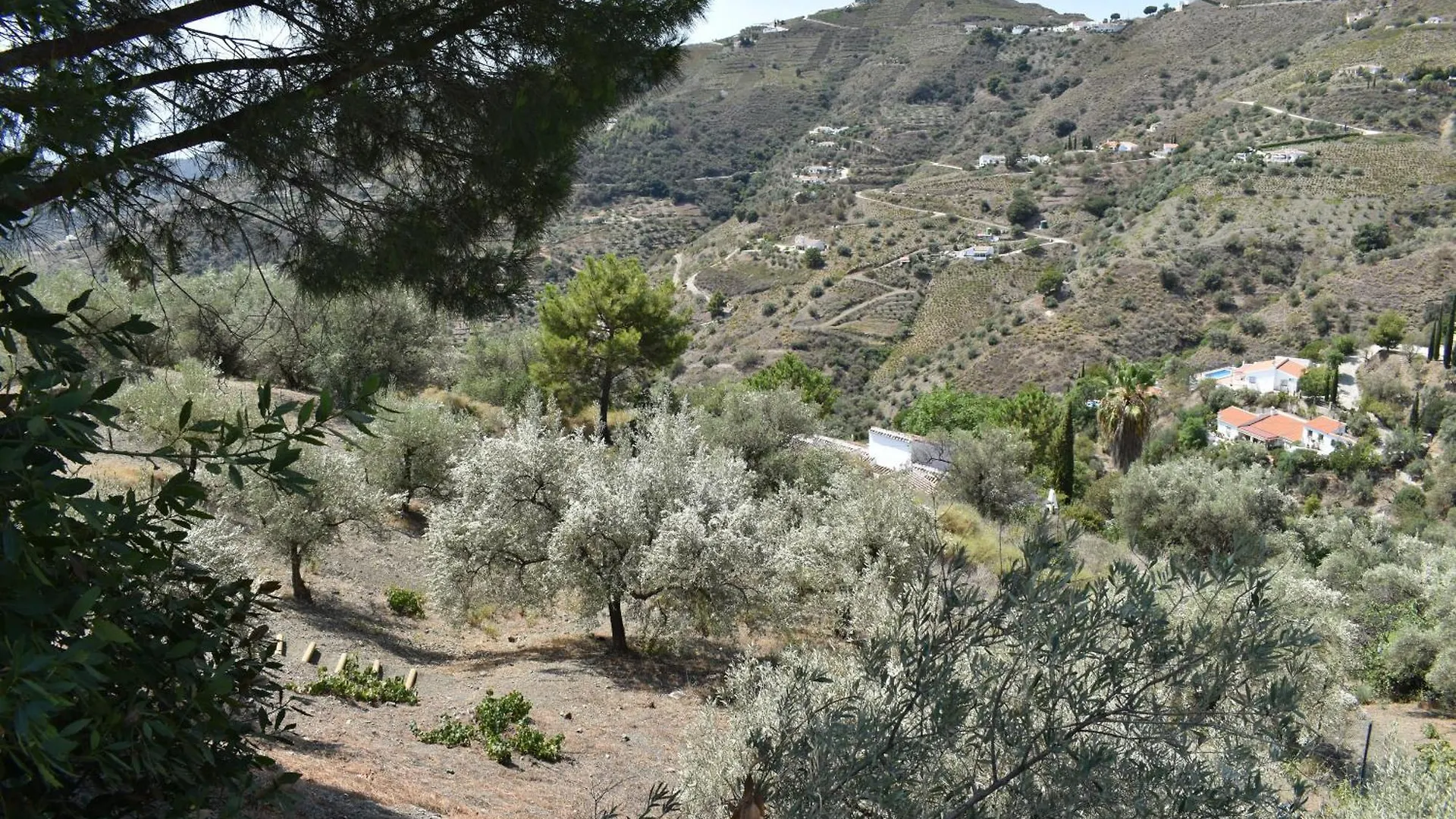Holiday home Finca Aguaillo 20 Minuten Zu Fuss Ins Dorf Competa